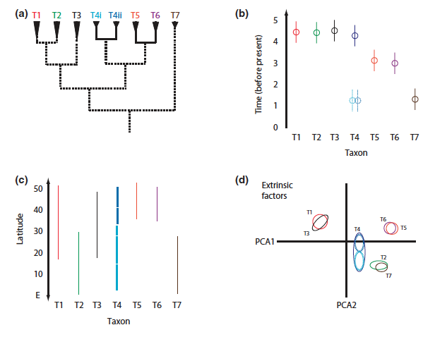 Represents Interpretation & Representation (Graphy)